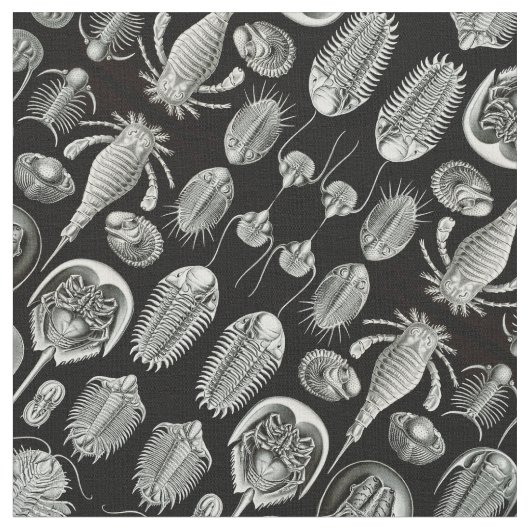 Aspidonia van Ernst Haeckel Stof (Close Up)