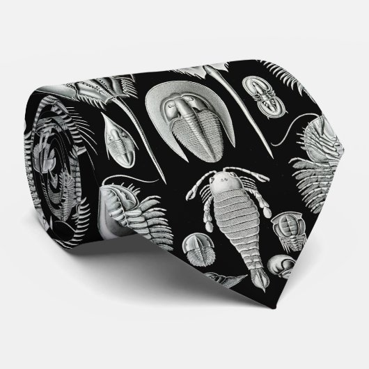 Aspidonia van Ernst Haeckel Stropdas (Opgerold)