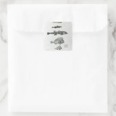 Aspidophorus Chiloensis en Agriopus Hispidus Vierkante Sticker (Tas)
