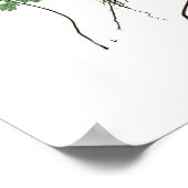 Asplenium adiantum nigrum poster (Hoek)