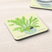 Asplenium Bird's nest fern - op sinaasappel trekke Bier Onderzetter (Linkerzijde)
