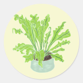 Asplenium Bird's nest fern - op sinaasappel trekke Ronde Sticker