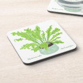 Asplenium Bird's nest fern - op wit tekenen. Bier Onderzetter (Linkerzijde)