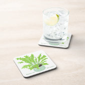 Asplenium Bird's nest fern - op wit tekenen. Bier Onderzetter (Rechterzijde)