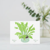 Asplenium Bird's nest fern - op wit tekenen. Briefkaart (Staand voorkant)