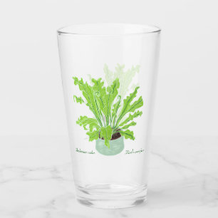 Asplenium Bird's nest fern - op wit tekenen. Glas