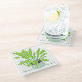 Asplenium Bird's nest fern - op wit tekenen. Glazen Onderzetter (Schuin)