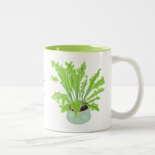 Asplenium Bird's nest fern - op wit tekenen. Tweekleurige Koffiemok (Rechts)