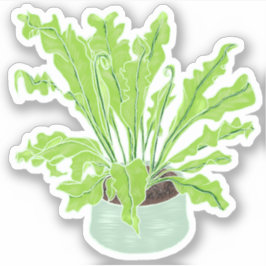 Asplenium Bird's nest fern - tekening aangepaste s Sticker