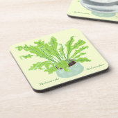 Asplenium Bird's nest fern - tekening op geel. Bier Onderzetter (Linkerzijde)