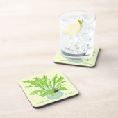 Asplenium Bird's nest fern - tekening op geel. Bier Onderzetter (Rechterzijde)