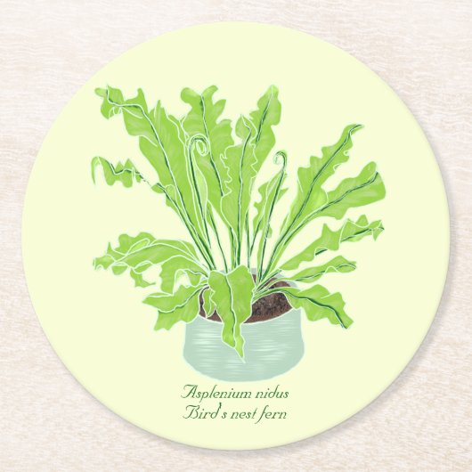 Asplenium Bird's nest fern - tekening op geel. Ronde Kartonnen Onderzetter (Voorkant)