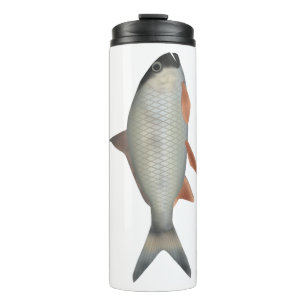 Assamese Kingfish Thermosbeker