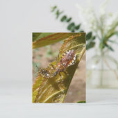 Assassin bug ~ briefkaart (Staand voorkant)