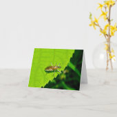 Assassin Bug in de gevangenis Garb Note Kaart (Gele Bloem)