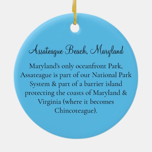 Assateague Beach Ornament (Achterkant)
