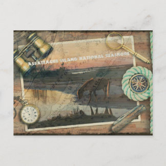 Assateague/Chincoteague-Briefkaart Briefkaart