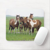 Assateague Horses Mousepad Muismat (Met muis)