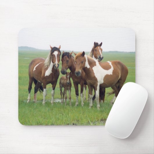 Assateague Horses Mousepad Muismat (Met muis)