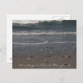 Assateague Island Beach Briefkaart (Voorkant / Achterkant)