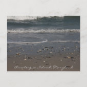 Assateague Island Beach Briefkaart (Voorkant)