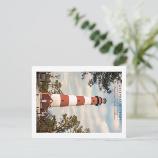 Assateague Island. Briefkaart (Staand voorkant)