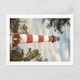 Assateague Island. Briefkaart