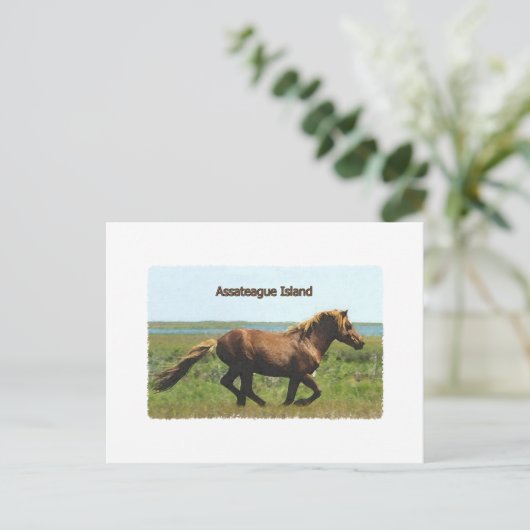 Assateague Island (lopende hengst-logo) Briefkaart (Staand voorkant)