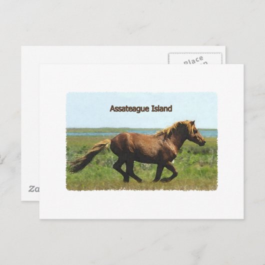 Assateague Island (lopende hengst-logo) Briefkaart (Voorkant / Achterkant)