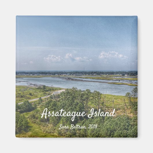Assateague Island Magnet (Voorkant)