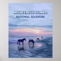 Assateague Island National Seashore Horses Vintage