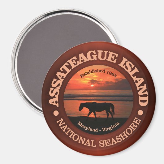 Assateague Island National Seashore Magneet (Voorkant / Achterkant)