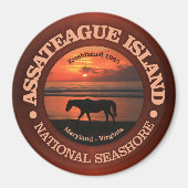 Assateague Island National Seashore Magneet (Voorkant)