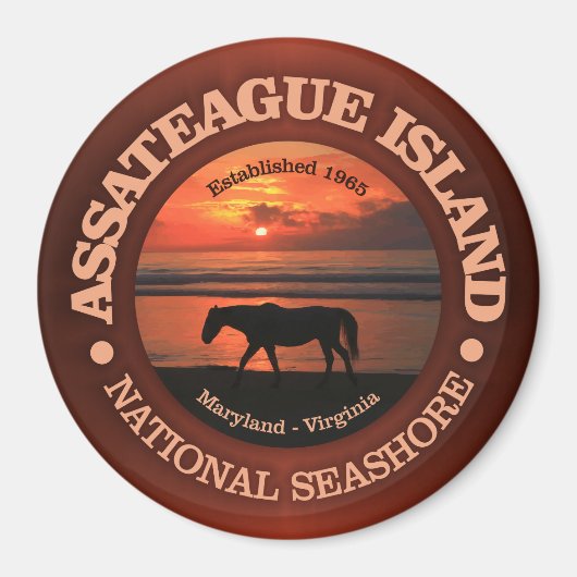 Assateague Island National Seashore Magneet (Voorkant)