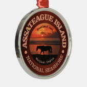 Assateague Island National Seashore Metalen Ornament (Rechts)