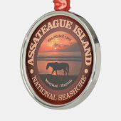 Assateague Island National Seashore Metalen Ornament (Links)