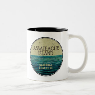 Assateague Island National Seashore Ocean Birds Tweekleurige Koffiemok