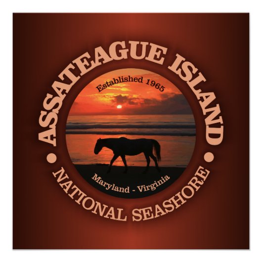 Assateague Island National Seashore Perfect Poster (Voorkant)