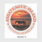 Assateague Island National Seashore Sticker (Vel)