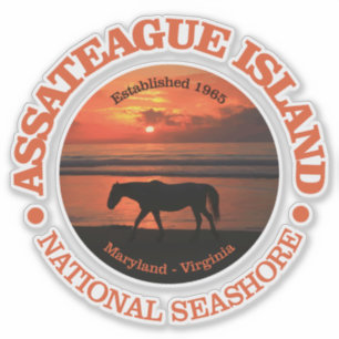 Assateague Island National Seashore Sticker