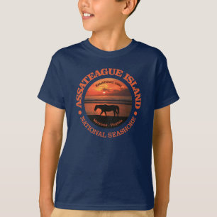 Assateague Island National Seashore T-shirt