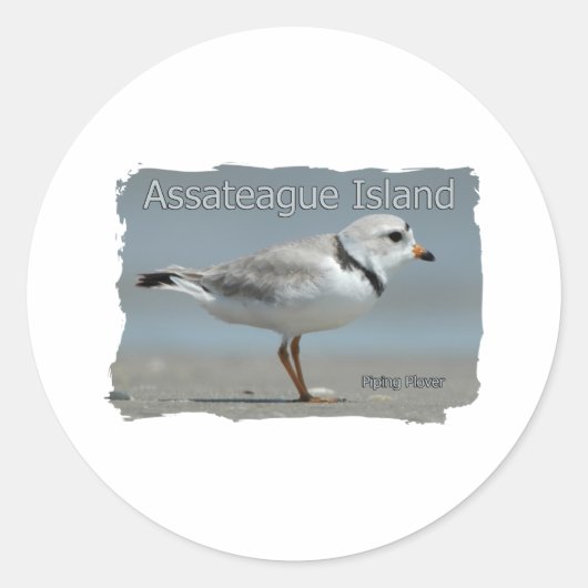 Assateague Island Piping Plover Ronde Sticker (Voorkant)