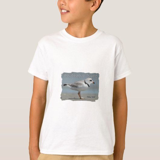 Assateague Island Piping Plover T-shirt (Voorkant)