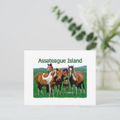 Assateague Island (pony familie) Briefkaart (Staand voorkant)