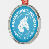 Assateague Island (pony) Metalen Ornament (Links)