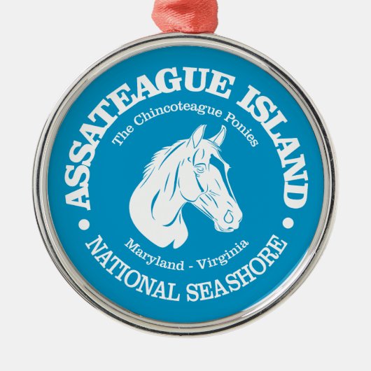 Assateague Island (pony) Metalen Ornament (Voorkant)