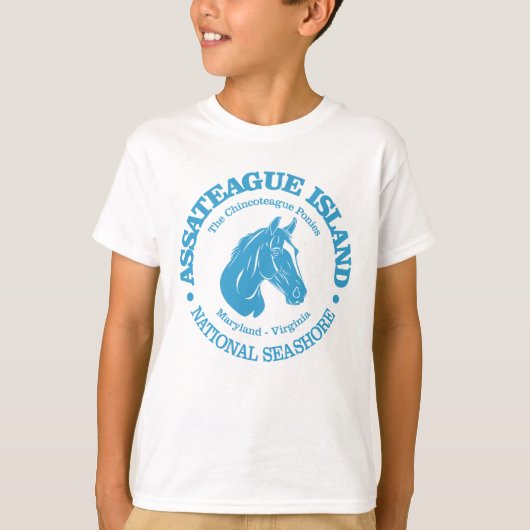 Assateague Island (pony) T-shirt (Voorkant)