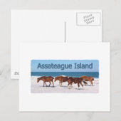 Assateague Island (pony's op strand logo) Briefkaart (Voorkant / Achterkant)