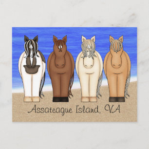 Assateague Island VA Chincoteague Ponies Briefkaar Briefkaart