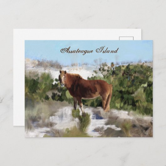 Assateague Island Wild Horse Briefkaart (Voorkant / Achterkant)
